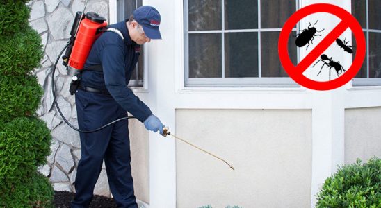 Güzelbahçe Kene İlaçlama böcek ilaçlama ve haşere kontrolü — ilaclama-tr.com